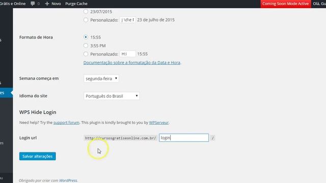 Plugin de segurança para esconder o formulário de login do wordpress смотреть онлайн