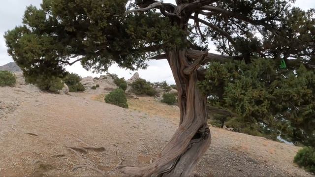 КРЫМ - мороз по коже от этого места. Туристам СЮДА НЕЛЬЗЯ. Новый Свет ОПУСТЕЛ людей совсем НЕТ. смотреть онлайн