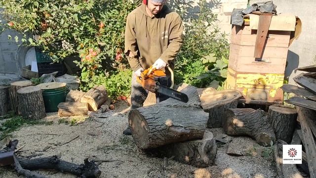 Бензопила Тайга 214 в дії. смотреть онлайн