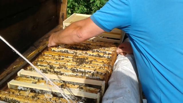 Карника Пешетц, Мёд. смотреть онлайн