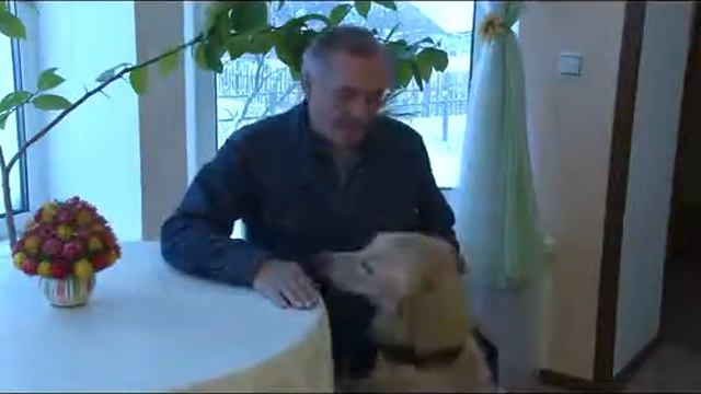 Владимир Мегре ВКонтакте с Вами! смотреть онлайн