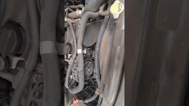 Improntas Toyota Prado 2002 смотреть онлайн