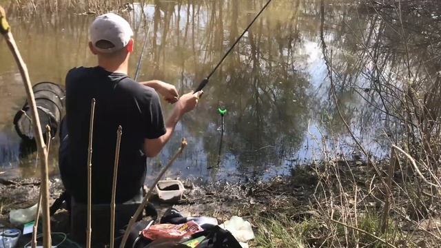 РЫБАЛКА НА КАРАСЯ. КАРАСИ ПОПЁРЛИ. Рыбалка на поплавок. Ловля карася весной. Фидер. Карась на фидер смотреть онлайн
