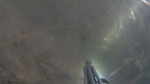 ОТСТРЕЛ ОГРОМНОЙ РЫБЫ С АРБАЛЕТА!