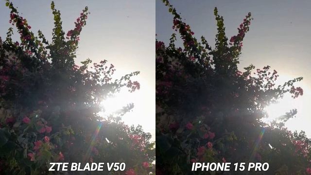 ZTE Blade V50 Smart VS iphone 15 pro Camera test Comparison Full Review смотреть онлайн