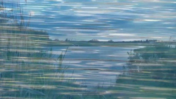 Природа Рыбинска. Наш Рыбинск!