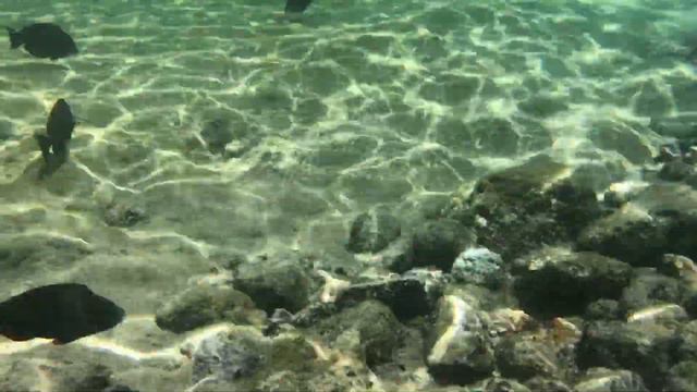 Съёмка в Красном море на телефон iPhone 7 смотреть онлайн