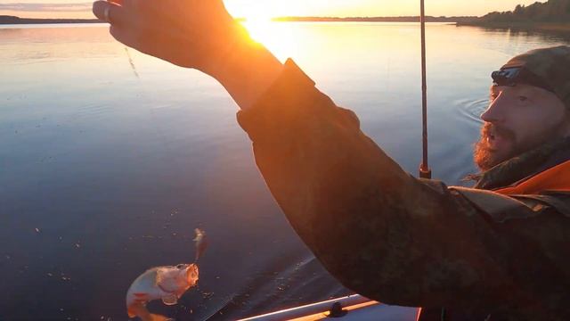 Охота на судака. Озеро Пено смотреть онлайн