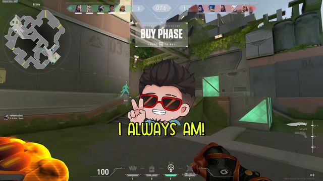 COTTONTAIL Surprises PINE With A Special Guest..