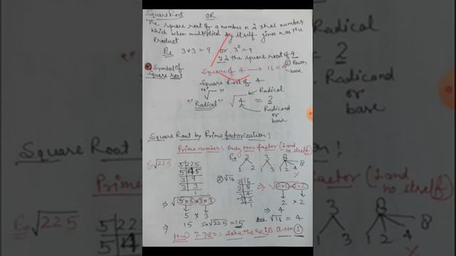 Class 8 Mathematics chapter 3 Square and Square Root смотреть онлайн