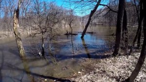 ЛОВЛЯ РАКОВ НА РАКОЛОВКИ ВЕСНОЙ! 5 РАКОЛОВОК И ВО ВСЕХ ЕСТЬ РАКИ! УДАЧНОЕ НАЧАЛО)