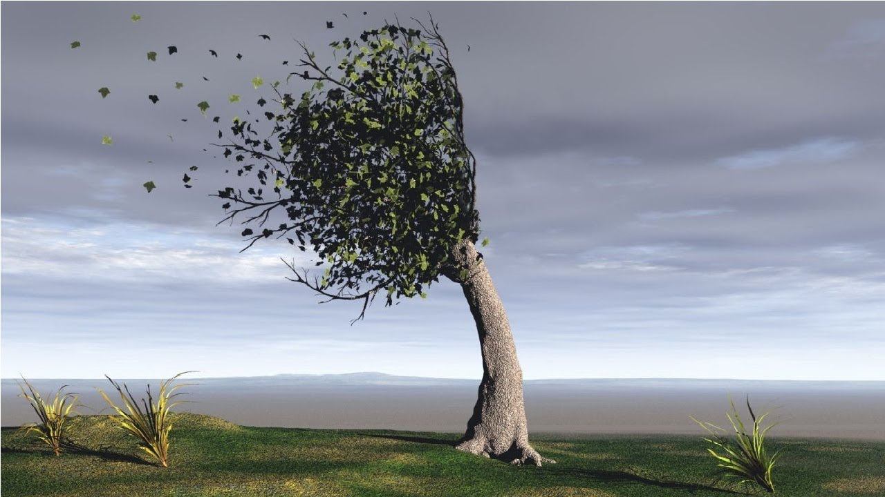 Тело и эмоции. Обратный ход смотреть онлайн