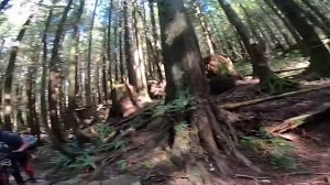 Разорвал на Куски! Жуткие Встречи Человека c Медведем!