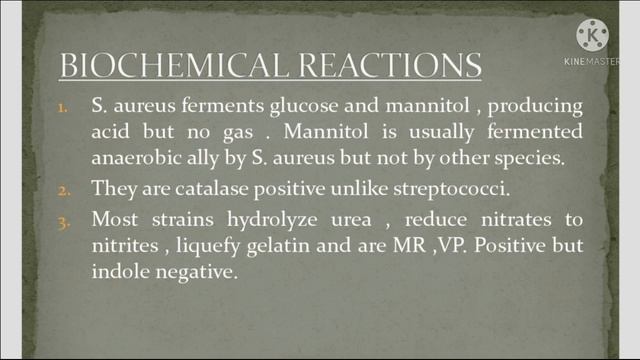 Staphylococcus | Microbiology | смотреть онлайн