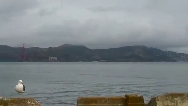 Алькатрас / Alcatraz смотреть онлайн