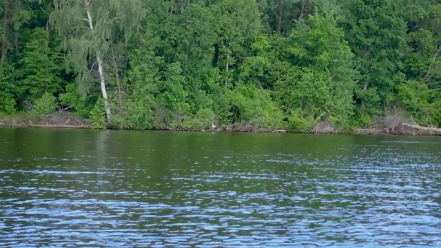 НАЛОВИЛИ на серебро и ВЫШЛИ В PAL! Хроника выступления экипажа Вихров-Круглов на Grundens PAL OPEN!