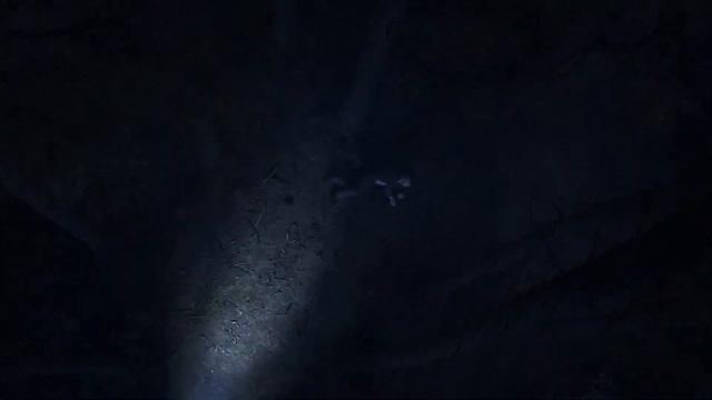 HITMAN III (PS5) GAMEPLAY REVEAL TRAILER PLAYSTATION 5 OFICIAL смотреть онлайн