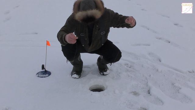 Вездеход 6х6 "ТАЙМЕНЬ". Первый лёд в ноябре 2023 г. Отличная рыбалка! смотреть онлайн