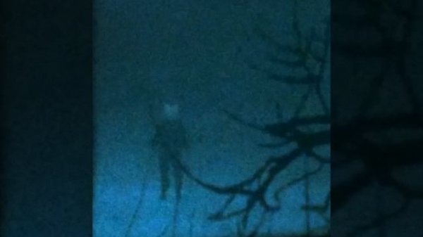 i was only temporary (Super Slowed)