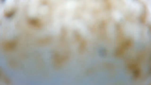 ИСПОЛЬЗОВАНИЕ КАМЕРЫ GO PRO HERO 2 НА СВАДЬБЕ