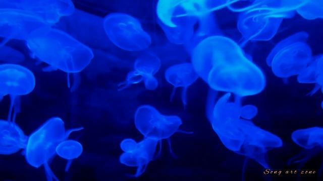 Спокойная и нежная музыка для расслабления. Успокаивает нервную систему и очищает душу.