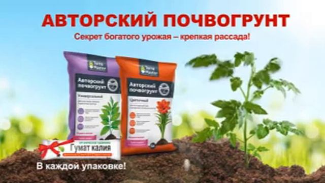 Авторский почвогрунт смотреть онлайн
