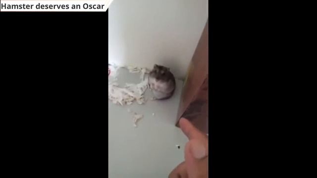 Очередная доза позитива для поднятия настроения #21. Делайте добро! смотреть онлайн