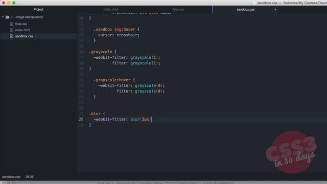 Image Manipulation: CSS Tutorial (Day 7 of CSS3 in 30 Days) смотреть онлайн