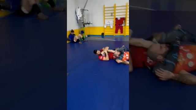 Грэплинг обучалка от чемпионов мира и Европы #топ #джиуджитсу #борьба #дзюдо смотреть онлайн