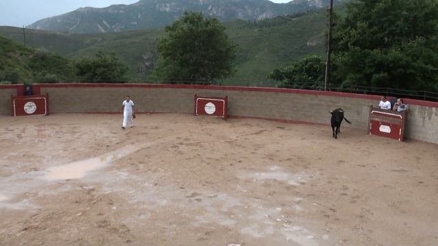 Испания. КОРРИДА. Акробаты Прыгают Через Быков. Июль 2012 смотреть онлайн