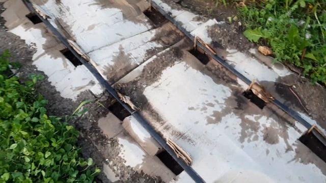 Цветущие дорожки в огороде из белого клевера и картон вместо агроволокна... смотреть онлайн