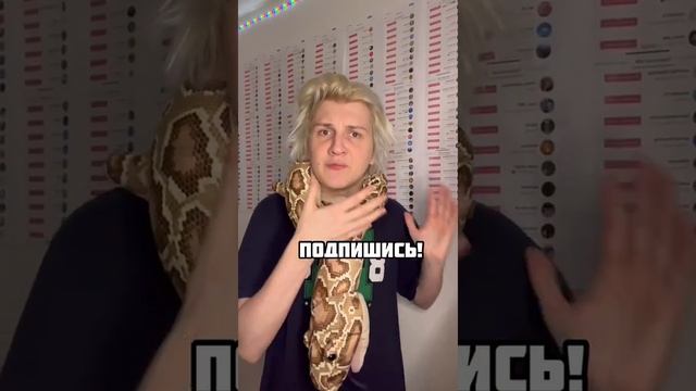 99% ЛЮДЕЙ ВИДЯТ ЭТУ ЖЕНЩИНУ ВО СНЕ?‼️ Inst:sever1off #sever1off #shorts смотреть онлайн