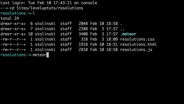 Meteor For Everyone Tutorial #4 - Storing Data In Collections смотреть онлайн