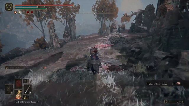 Elden Ring - Tryingto to Kill the Dragon Greyoll’s and Find a Secret Passage #8 смотреть онлайн