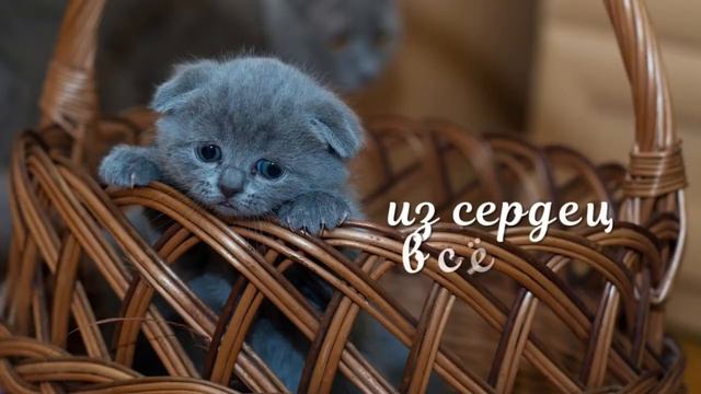 Подарите тепло, тем, кто рядом... смотреть онлайн