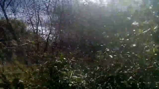 Поход на дачу. Копать всем картошку дружно))))!!! смотреть онлайн