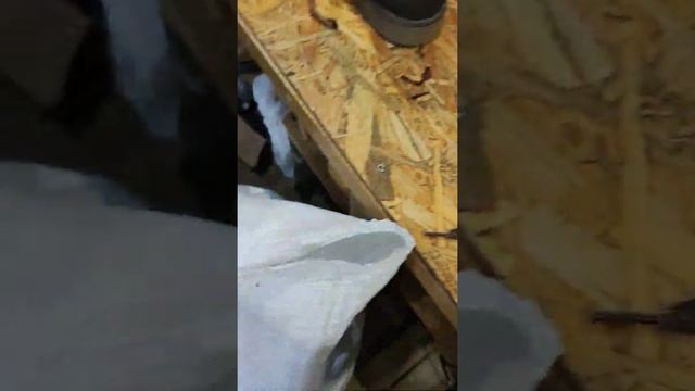 Взуття Чоловіче зима ? смотреть онлайн