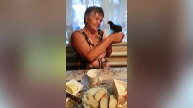 видели видео смотреть онлайн