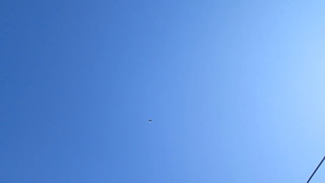 1 апреля пос новоэкономическое спор на кабана смотреть онлайн