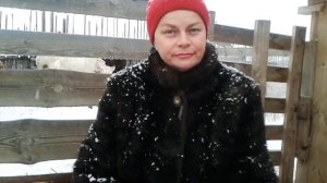 Как и когда глистогонить коз?