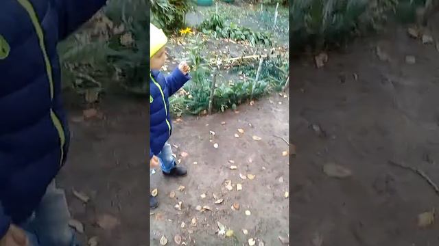 Называется день рождения отметили!!! 1часть смотреть онлайн