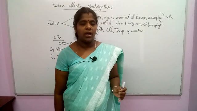 Photosynthesis In Higher Plants Session 10 NEET Biology Classes In Malayalam (Sumi) смотреть онлайн