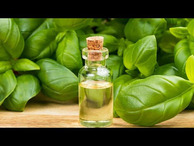 Лечись Правильно !