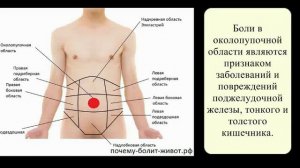 Почему болит живот