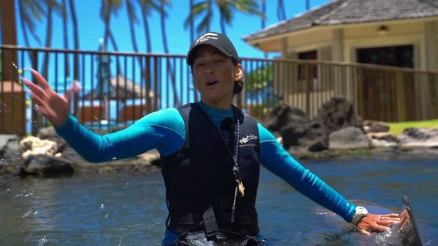 Dolphin Quest Encounter Review | Kahala Resort | Oahu Hawaii смотреть онлайн