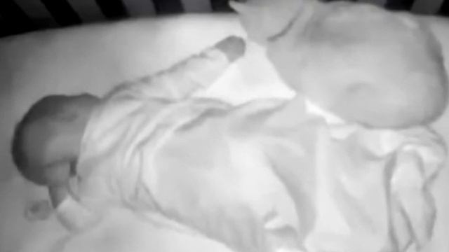 Ночью кот залез к ребенку. Родители были в шоке, когда увидели что он сделал! смотреть онлайн