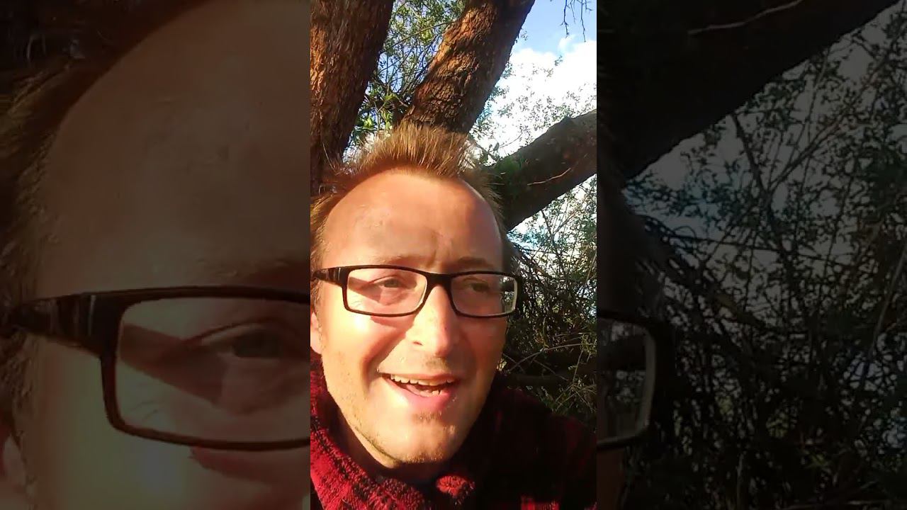 Стрим в инстаграме 19 октября. кофе для котов. Live on IG 19 october. смотреть онлайн