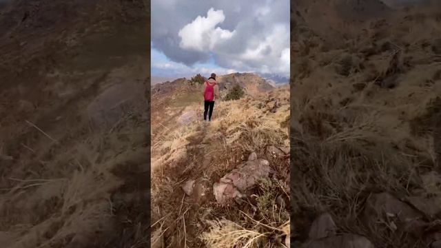 Двинули в горы.Последние дни в Ташкент смотреть онлайн