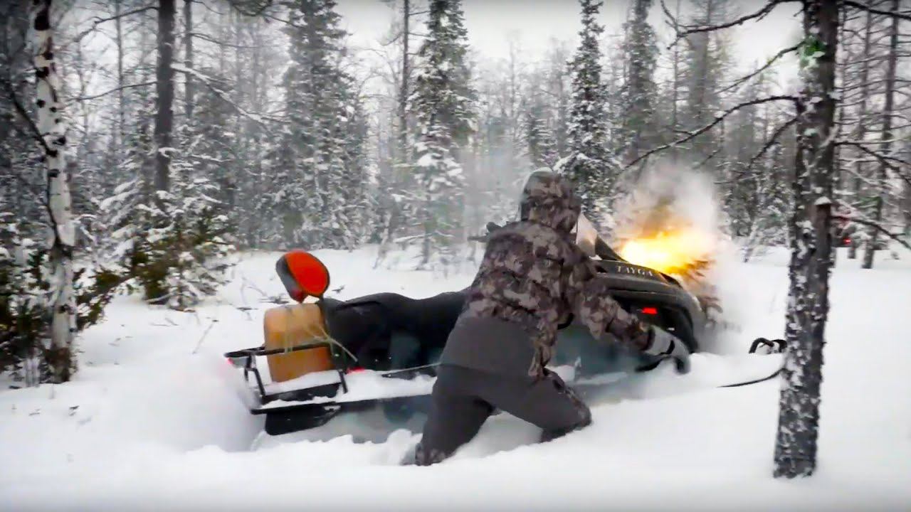 С полем!: Олени и росомаха. Охота за Полярным Кругом. Часть 1 смотреть онлайн