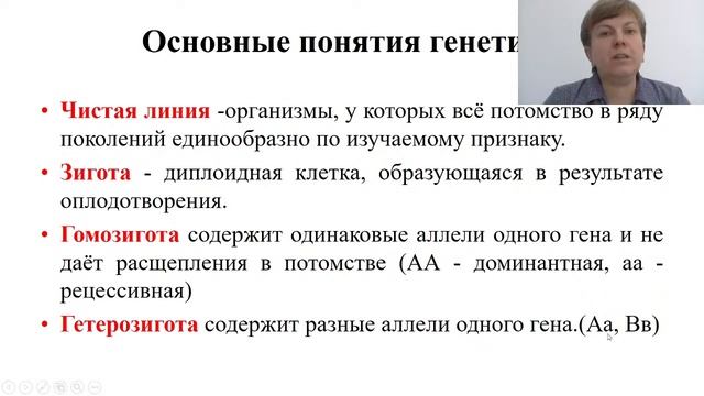 Биология. Основные понятия генетики. Первый закон Менделя. Решение задач. смотреть онлайн